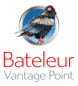 Bateleur_Vantage_Point_Business_Market_Specialists