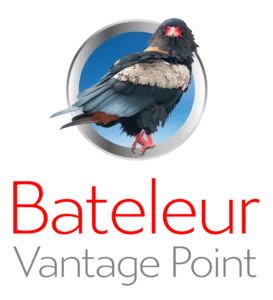 Bateleur_Vantage_Point_Business_Market_Specialists